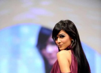 Humaima Malick: From Bol to Bollywood