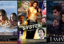 Making the Oscars cut: Which of these films do you want to see as the official selection from Pakistan? (Vote Now)