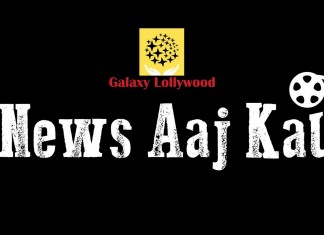News Aaj Kal: Reema wins American award, Shamoon on Gidh, Ali-Fawad film rumors and many more