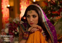 Box Office Update: ‘Ho Mann Jahaan’ crosses 10 crore mark in two weeks