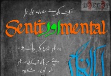 Yasir Hussain of Karachi Se Lahore fame to star in new movie ‘SentiAurMental’