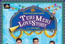 Teri Meri Love Story (Review): Weak production values ruin an otherwise decent film