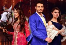 Box Office Update: ‘Balu Mahi’ ends its run and emerges as a FLOP!