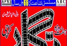 The Nigar Awards Saga: It was the public who chose the nominations!