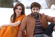 ‘Mehrunisa V Lub U’ draws rave review from Shahzad Rafique