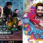 Yalghaar and Mehrunisa V Lub U box office collections