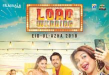 Load Wedding (Review): A socially relevant solid entertainer