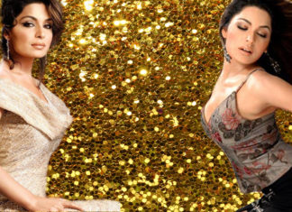 Is the upcoming Film ‘Baaji’ based on Meera’s life?