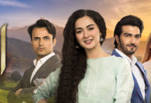‘Anaa,’ a light-hearted drama serial with twisted family dynamics Anaa Hum TV