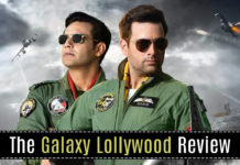 Sherdil (Review): Poor writing and direction take away from an otherwise good film