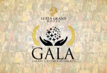Luxus Grand 5th Galaxy Lollywood Awards 2019 (Nominations)