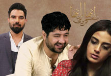 Ranjha Ranjha Kardi shedding light on marital rape has people divided
