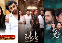 Here are some of the best TV serials to watch, this Ramazan