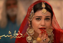 Zara Noor Abbas’ ‘Deewar-E-Shab’ hits all the right notes with the viewers