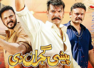 Is Punjabi cinema problematic or does it just cater to a different audience?