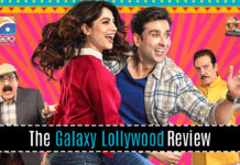 Wrong No. 2 (Review): A well-directed flick that dials all the right numbers
