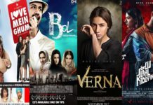 If I Could, I Would Change These Things About Lollywood Films lollywood films