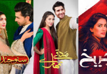 12 Desirable Roles That These Actors Wished They Had Done! Actor Roles