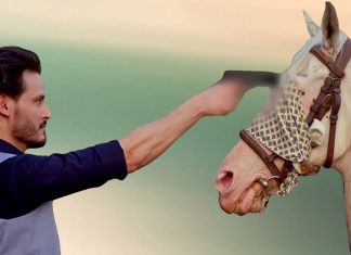 Is All The Hate Ehd-e-Wafa’s Horse Shooting Scene Getting Justified? OKB