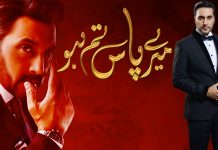 Mere Paas Tum Ho’s Shahwar: The Villain Any Woman Would Fall For Adnan Siddiqui