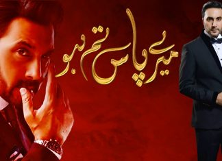 Mere Paas Tum Ho’s Shahwar: The Villain Any Woman Would Fall For Adnan Siddiqui