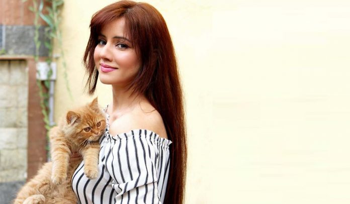 Rabi Pirzada