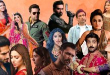 2019 In Cinema: Recapping The Year That Went By pakistani cinema 2019