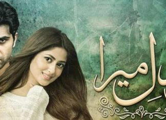 Sahad’s Romance Missing As ‘Ye Dil Mera’ Looses Its Grip ye dil mera