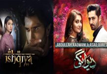 Dear Pakistani Drama Writers, Stop Confusing Obsession With Love ishqiya deewangi obsession