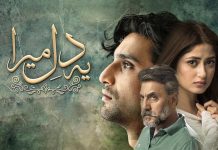 Is The Slow Pacing Of ‘Ye Dil Mera’ Killing The Show? sajal ahad ye dil mera