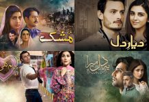 Pakistani Dramas That Stand Out For Their Stunning Locations And Visuals