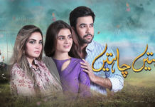 Teasers For ‘Mohabbatain Chahatain’ Show Glimpses Of A Happy Love And A Curious Partnership