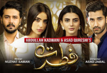 Is ‘Fitrat’ just a package of flashbacks? Fitrat Drama