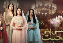 ‘Ghisi Piti Mohabbat’ ends its run with an empowering message Ghisi Piti Mohabbat Article