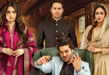 Review: Qayamat Ends On A Dissatisfying Note