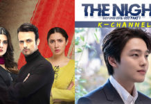 Here’s What Really Happened With The ‘Hum Kahan Ke Sachay Thay’ Plagiarism Fiasco Hum Kahan Ke Sachay Thay and Korean Drama