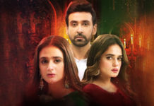 Mein Hari Piya: A Love Triangle With Problematic Narrative Main Hari Piya
