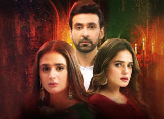 Mein Hari Piya: A Love Triangle With Problematic Narrative Main Hari Piya