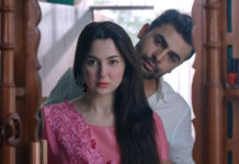 What Makes Mere HumSafar So Popular?