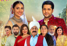 Chaudhry And Sons Packs A Punch With Entertaining Performances