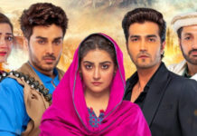 Meray Humnasheen Kicks Off As A Compelling Watch