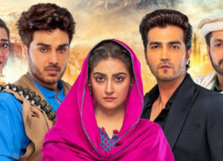 Meray Humnasheen Kicks Off As A Compelling Watch