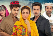 Mere Humnasheen Teasers Set Expectations High