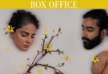 Box Office: Kamli Hits Major Milestone Within Opening Week