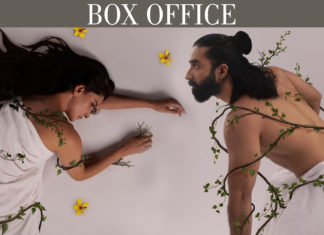 Box Office: Kamli Collection Sustains Steady Climb