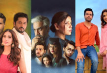 Shazia Wajahat Talks About ‘Pinjra’, ‘Adan’, And ‘Saanwal Yaar Piya’ Showcase Productions' upcoming dramas