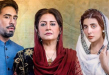 ‘Meri Shehzadi’ Review: Unique Storyline Presents A Princess Diana Rendition Meri Shehzadi