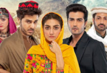 Meray Humnasheen’s Finale: A Bittersweet Resolution Mere Humnasheen