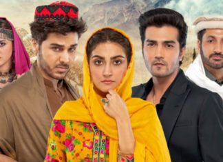 Meray Humnasheen’s Finale: A Bittersweet Resolution Mere Humnasheen