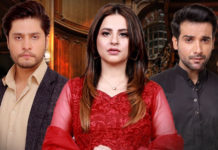 Muqadar ka Sitara Asks Questions with No Answers